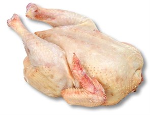 Курица домашняя (тушка от 1,5 кг)